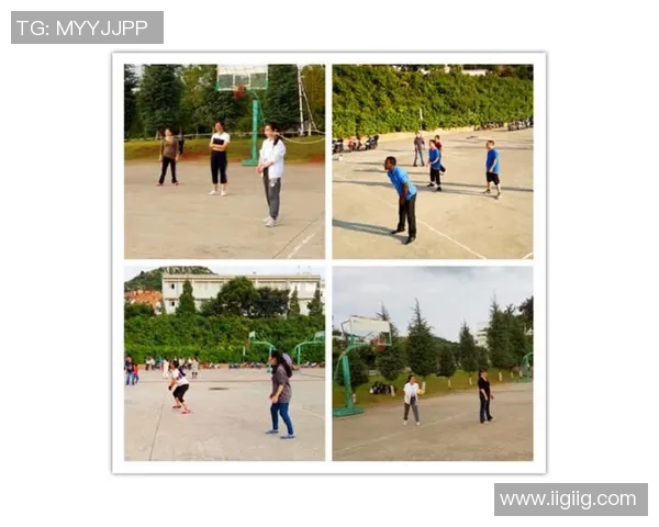 专访赵敏：深入探讨排球背后的成功秘诀与成长之路